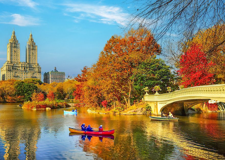 Central Park Fall